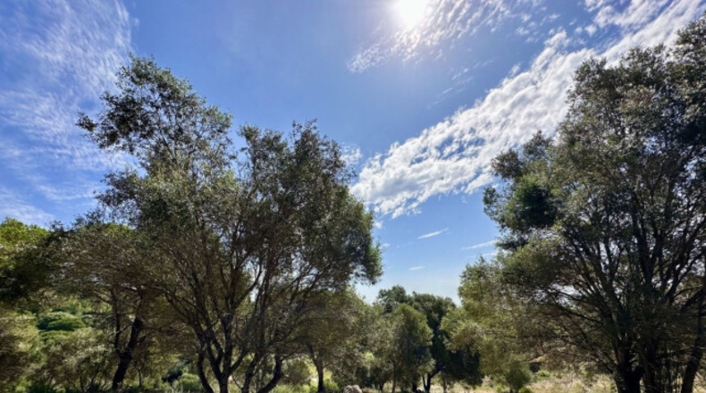 Cádiz - San Roque - 3455m2