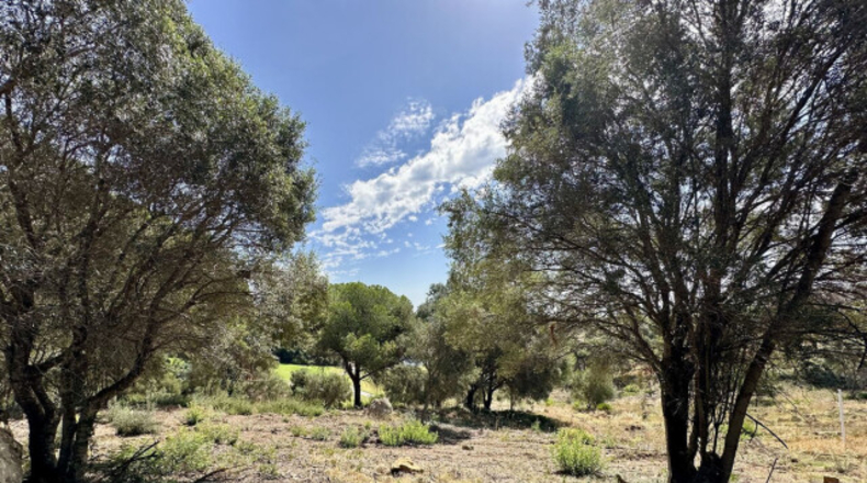 Cádiz - San Roque - 3455m2