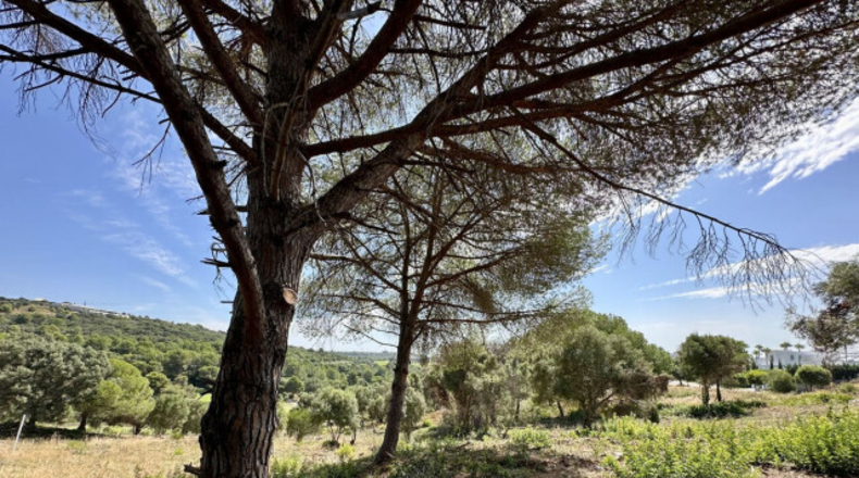 Cádiz - San Roque - 3455m2