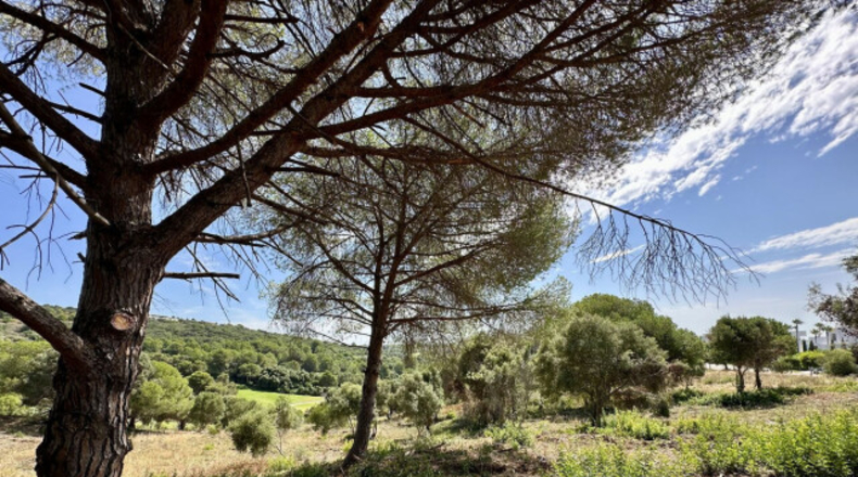 Cádiz - San Roque - 3455m2