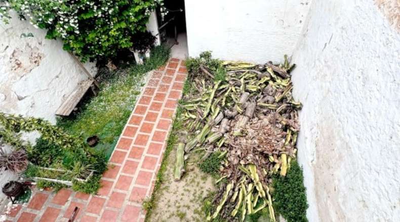 Valencia - Benifaió - 352m2