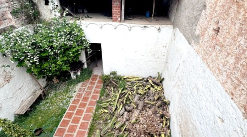 Valencia - Benifaió - 352m2