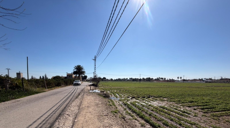 Alicante - Catral - 10000m2