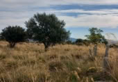 Non-developable land for sale on Calle del Portillo, Ávila, ref: TR405737 photo