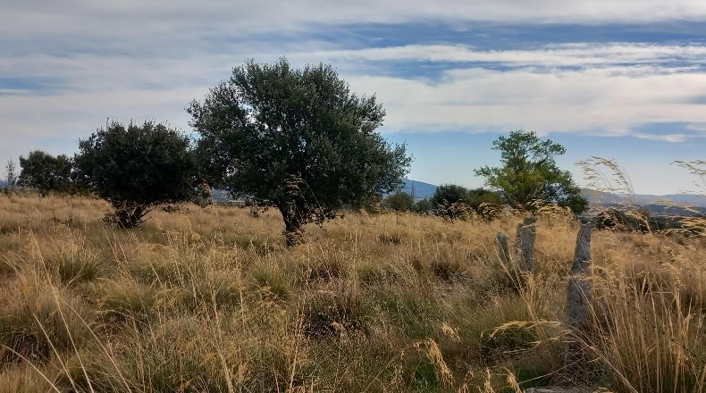 Ávila - Ávila - 2429m2