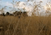 Non-developable land for sale on Calle del Portillo, Ávila, ref: TR405737 photo