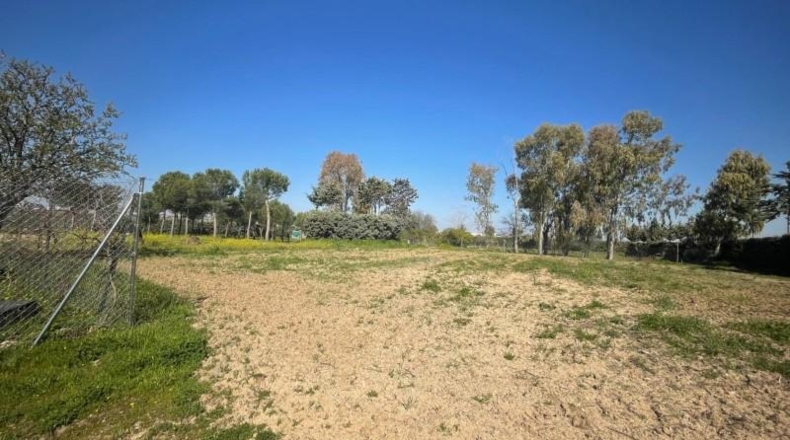 Comunidad de Madrid - Leganés - 2000m2