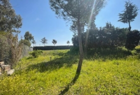 Leganés 2000&nbsp;m²