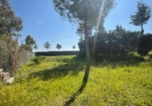 Non-developable land for rent on España, Leganés, ref: TR319373 photo