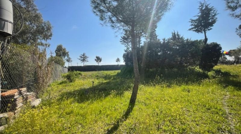 Comunidad de Madrid - Leganés - 2000m2