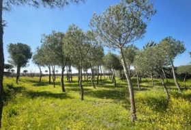 Leganés 2000&nbsp;m²