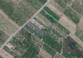 Terreno no urbanizable en venta en la España, Nules, ref: TR405910 foto