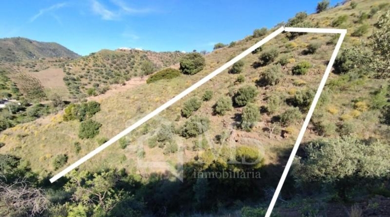 Málaga - Arenas - 2340m2