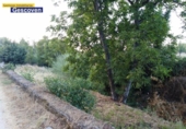 Non-developable land for sale on España, Valencia de Alcántara, ref: TR405911 photo