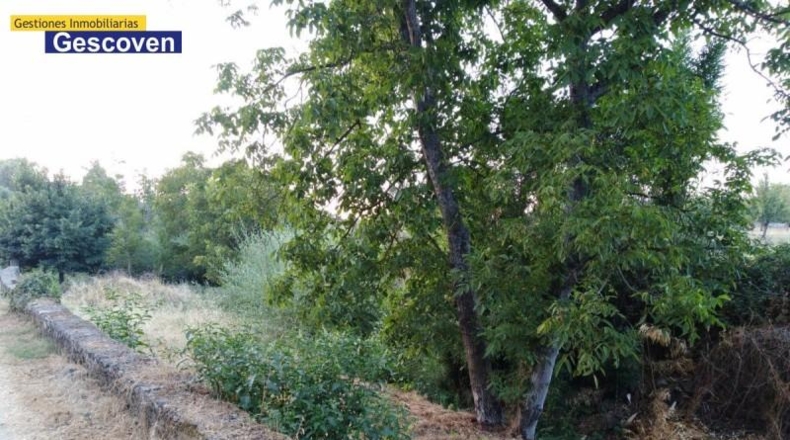 Caceres - Valencia de Alcántara - 800m2