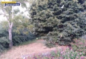 Non-developable land for sale on España, Valencia de Alcántara, ref: TR405911 photo