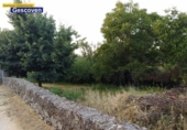 Non-developable land for sale on España, Valencia de Alcántara, ref: TR405911 photo