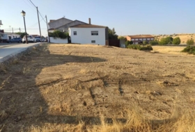 El Garrobo 300&nbsp;м²