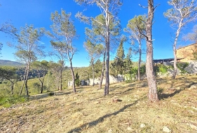 Canyelles 748&nbsp;m² 