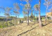Suelo urbano en venta en la España, Canyelles, ref: TR396810 foto