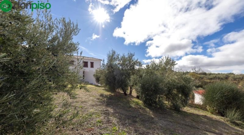 Granada - Nívar - 562m2