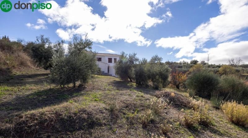 Granada - Nívar - 562m2