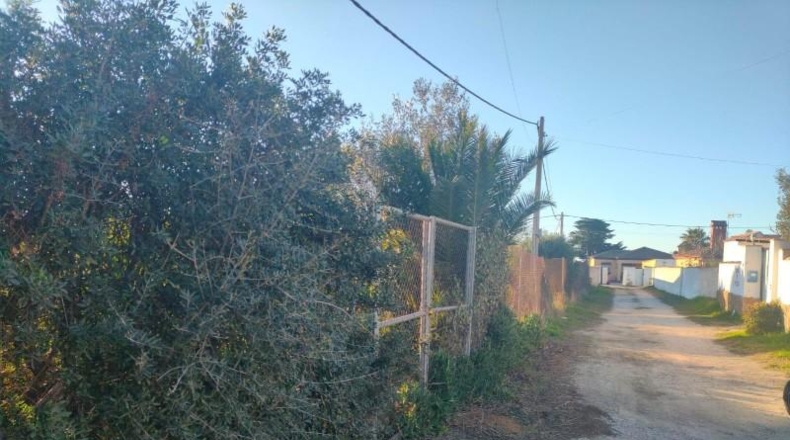 Cadiz - Chiclana de la Frontera - 960m2