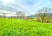 Non-developable land for sale on España, Santiurde de Toranzo, ref: TR405605 photo