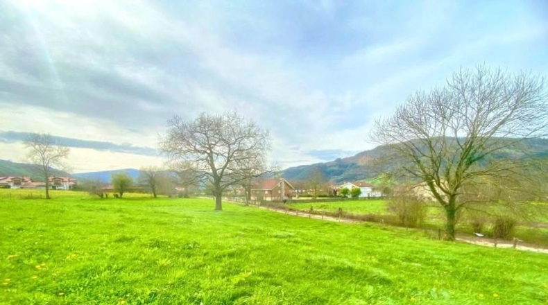 Cantabria - Santiurde de Toranzo - 8187m2