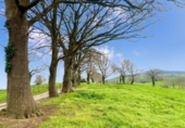 Non-developable land for sale on España, Santiurde de Toranzo, ref: TR405605 photo
