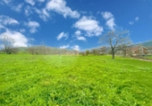 Non-developable land for sale on España, Santiurde de Toranzo, ref: TR405605 photo