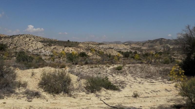 Múrcia - Murcia - 145743m2