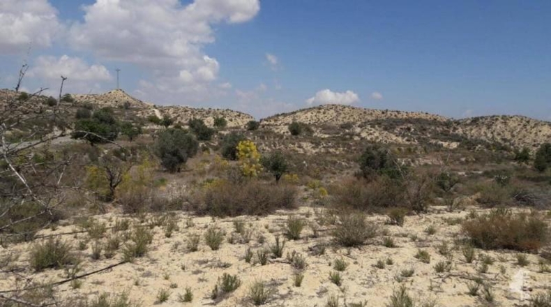 Múrcia - Murcia - 145743m2