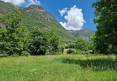 Non-developable land for sale on España, Montanuy / Montanui, ref: TR165646 photo