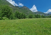 Non-developable land for sale on España, Montanuy / Montanui, ref: TR165646 photo