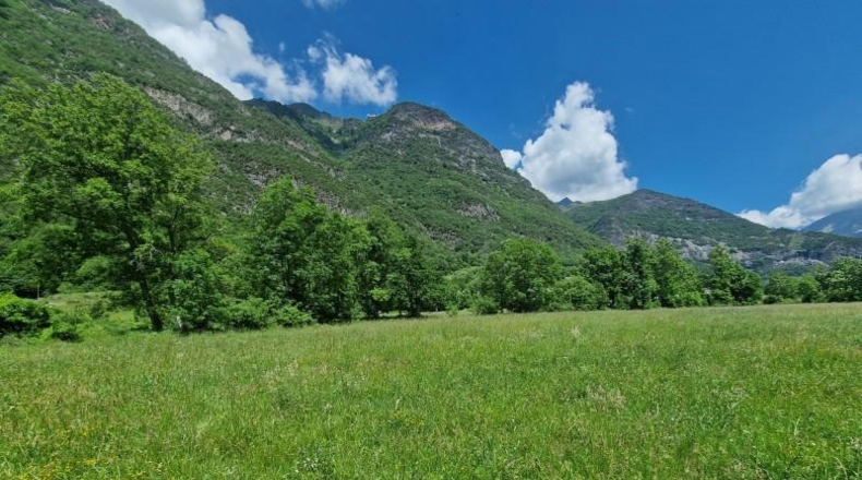 Huesca - Montanuy - 23658m2