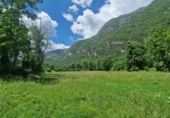Non-developable land for sale on España, Montanuy / Montanui, ref: TR165646 photo