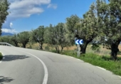 Urban land for sale on España, Sant Llorenç d'Hortons, ref: TR240425 photo