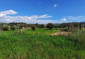 Urban land for sale on España, Sant Llorenç d'Hortons, ref: TR240425 photo