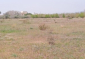 Отдельно стоящий дом с участком на продажу в городе Constantí Фото