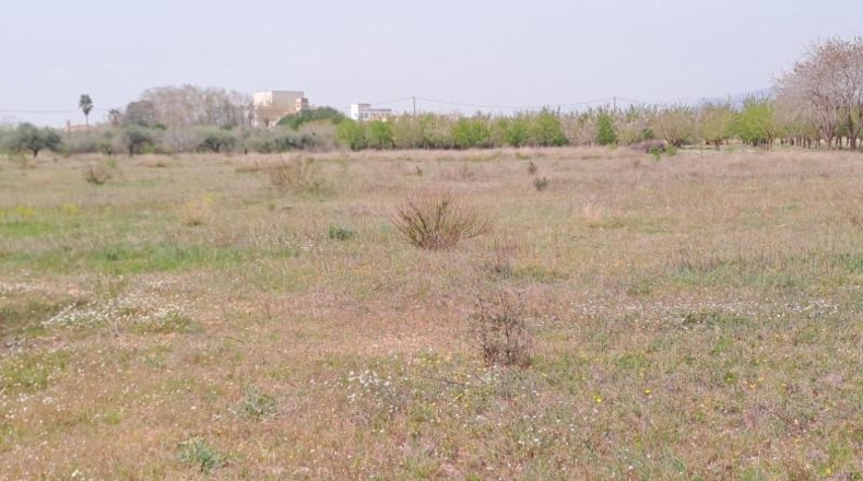 Таррагона - Constantí - 18507m2
