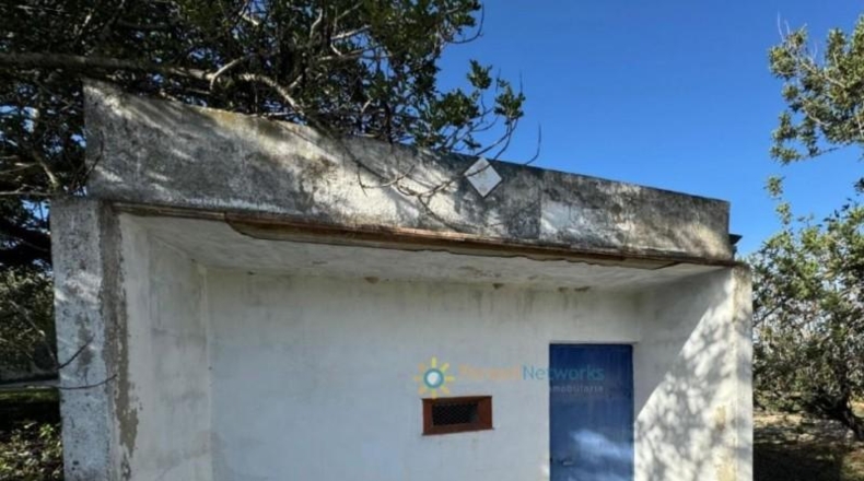 Valencia - Эль-Паломар - 40890m2