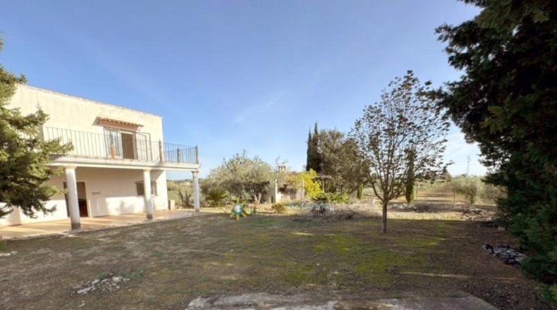 Valencia - Эль-Паломар - 40890m2