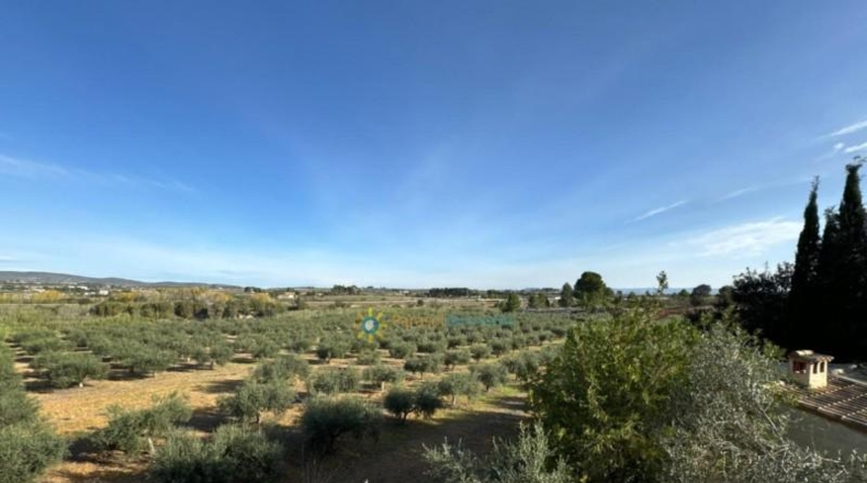Valencia - Эль-Паломар - 40890m2