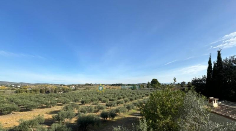 Valencia - Эль-Паломар - 40890m2