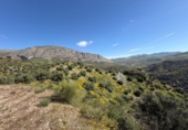 Non-developable land for sale on España, Valle de Abdalajís, ref: TR405970 photo