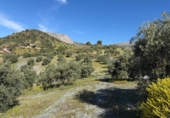 Non-developable land for sale on España, Valle de Abdalajís, ref: TR405970 photo