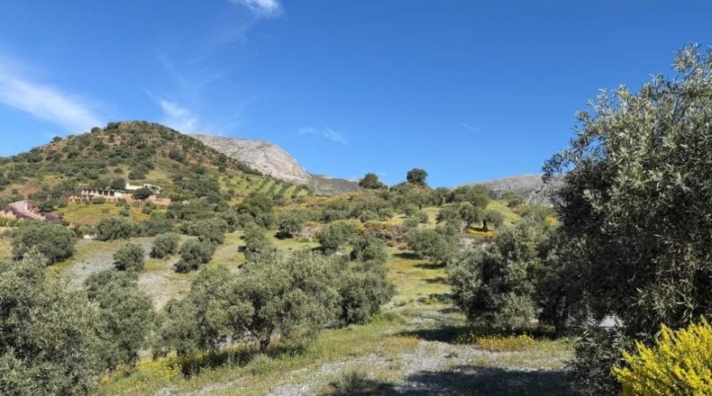 Málaga - Valle de Abdalajís - 6m2