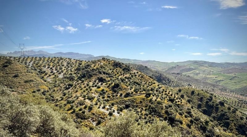 Málaga - Valle de Abdalajís - 6m2
