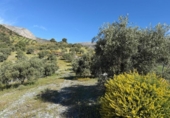 Non-developable land for sale on España, Valle de Abdalajís, ref: TR405970 photo